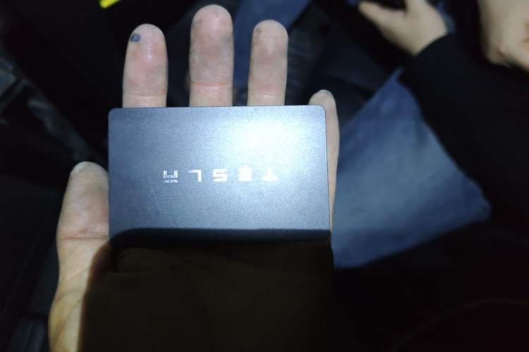 Used Tesla Model 3 2022 Rear-Wheel-Drive Version