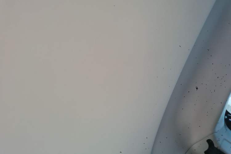 Used Roewe Clever 2021 302km Excellence Edition