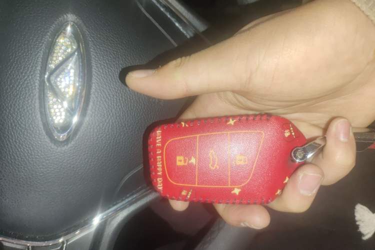 Used Chery New Energy Little Ant 2021 200 000-Yuan Ant Fan Edition Talent Version NMC Battery 301 km Interior 1