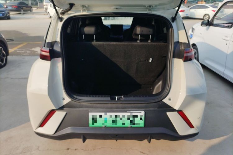 Used BYD Seagull 2025 305 km Free Version