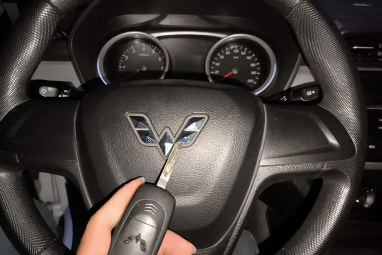 Used Wuling Hongguang 2019 1.5L S Standard Version China VI LAR
