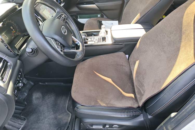 Used GAC Trumpchi GS8 2020 390T Two-Wheel Drive Luxury Smart Connectivity Version (7 Seats) Left Front Seat