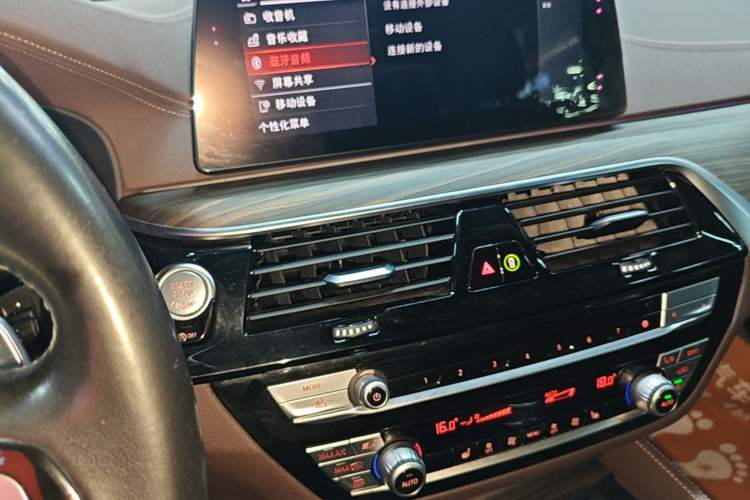 Used BMW 5 Series 2020 530Li Leading Edition Luxury Package