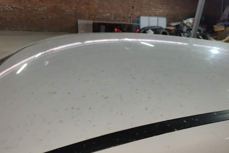 Used CHANGAN OSHAN Benni E-Star 2021 National Edition Xin Yue Version Lithium Iron Phosphate (31.86 kWh)
