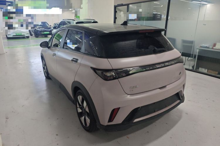 Used BYD Dolphin 2021 401km Knight Edition Exterior 2