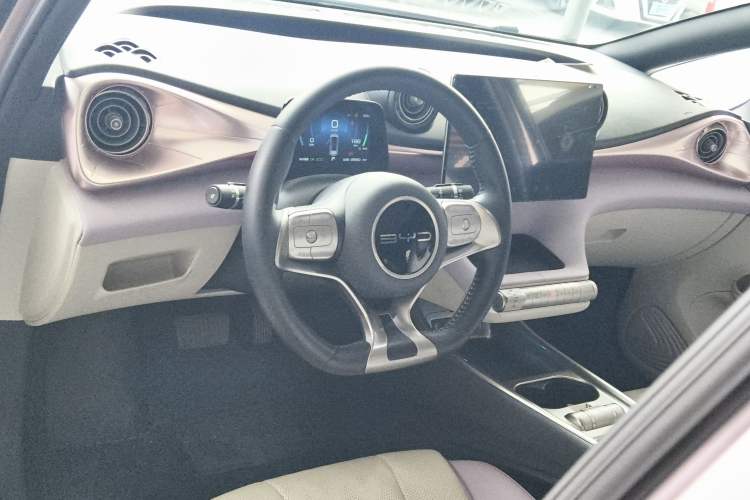 Used BYD Dolphin 2023 420 km Fashion Edition Center Console