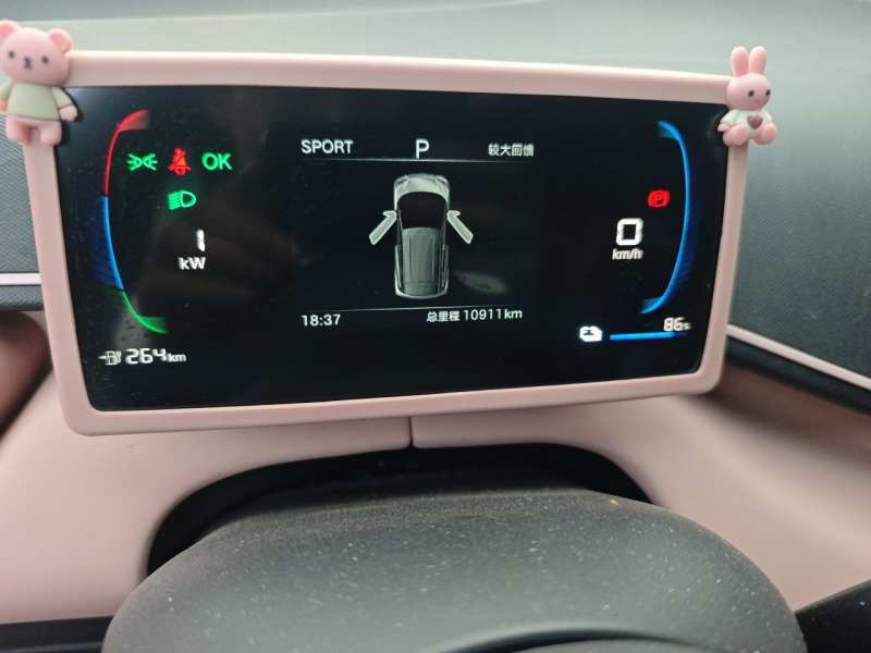 Used BYD Seagull 2025 Intelligent Driving Version 305 km Dynamic Edition — 4
