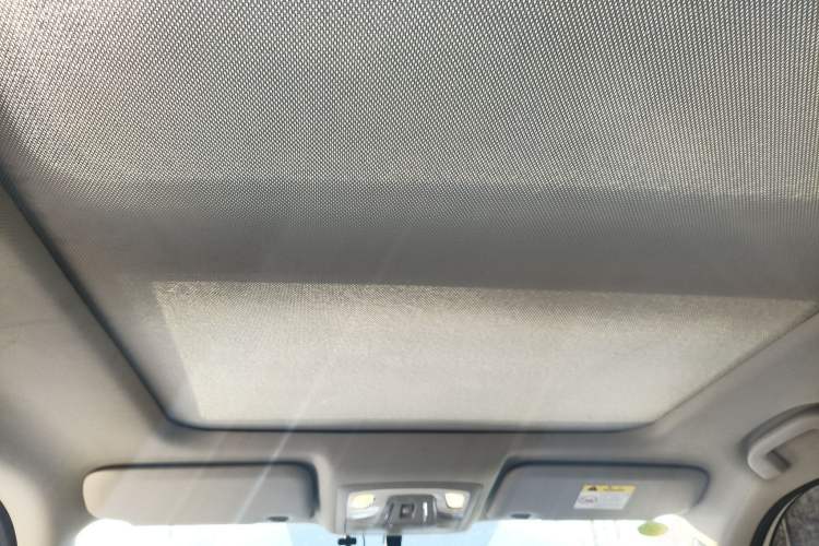 Used Venucia T60EV 2020 AI Enjoyment Model