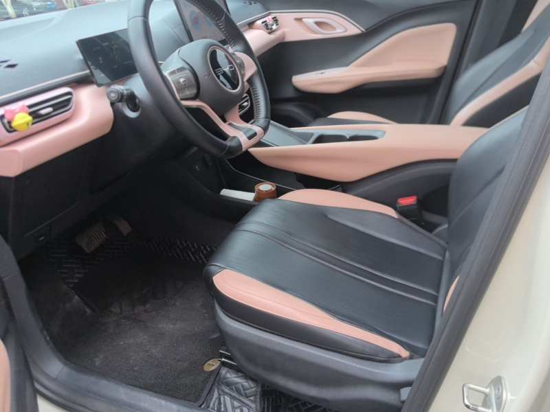 Used BYD Seagull 2023 Free Edition — 14