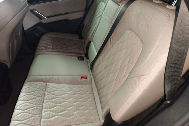 Used BYD Tang New Energy 2024 DM-p Champion Edition 215 km All-Wheel-Drive Flagship Model Left Rear Seat