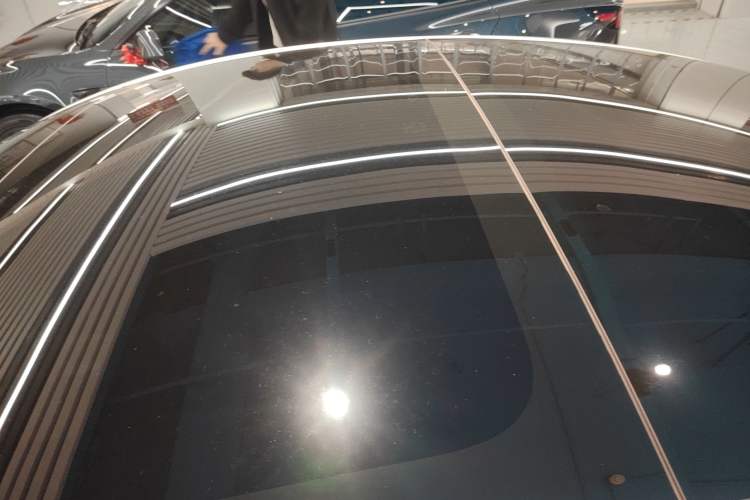 Used Tesla Model 3 2023 Rear-Wheel-Drive Version Roof