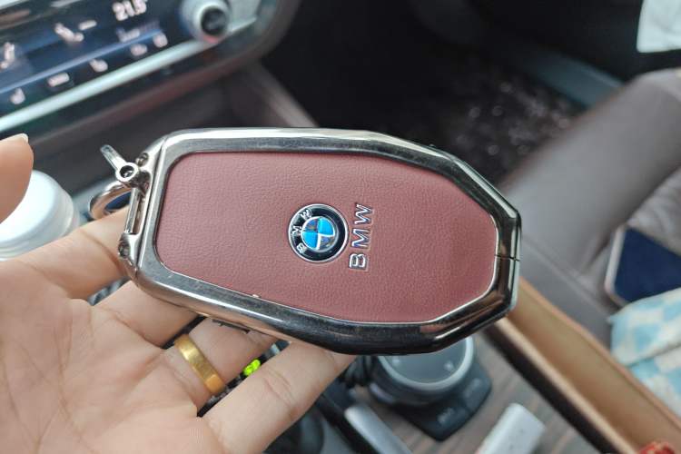 Used BMW 5 Series New Energy 2019 530Le Luxury Package
