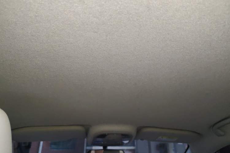 Used BYD Yuan Pro 2021 "Love for a Lifetime" Edition Headliner