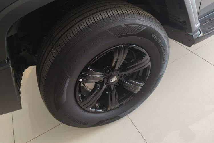 Used Tank 300 2024 2.0T Conqueror
