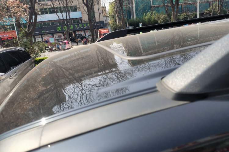 Used Tank 300 2023 Off-Road Edition 2.0T Challenger