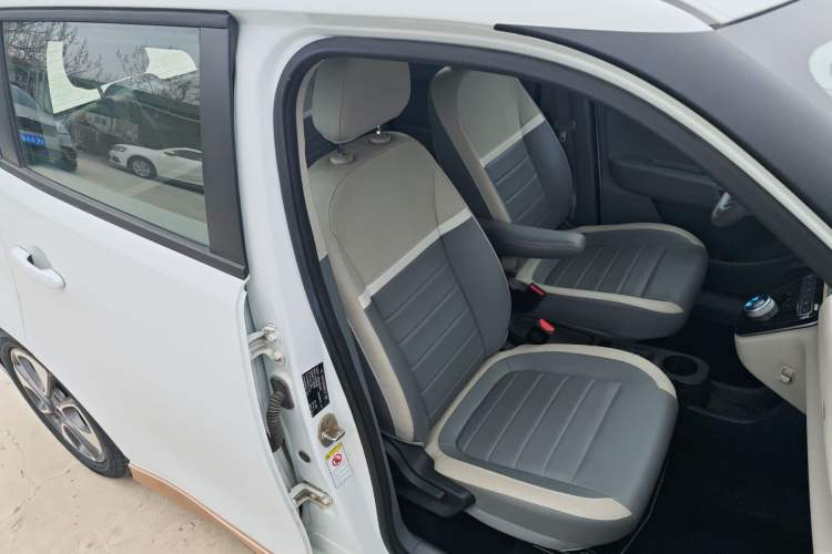 Used ORA White Cat 2022 Xiaoyue Mao Edition 360 km Luxury Model Lithium NMC
