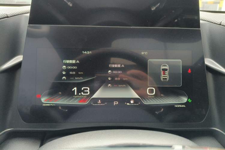 Used Haval DARGO 2024 2.0T DCT Chinese Rural Dog Edition