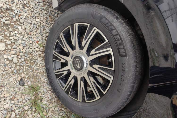 Used GAC Trumpchi E9 2024 E9 Champion Edition
