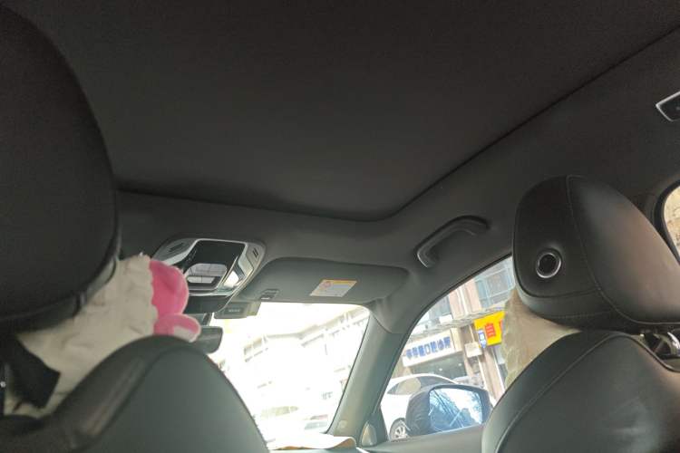 Used Geely Auto Monjaro 2019 350T Yuxingzhe Headliner