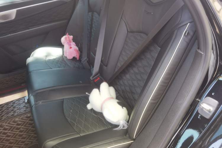 Used Cadillac CT6 2023 28T Prestige Model Left Rear Seat