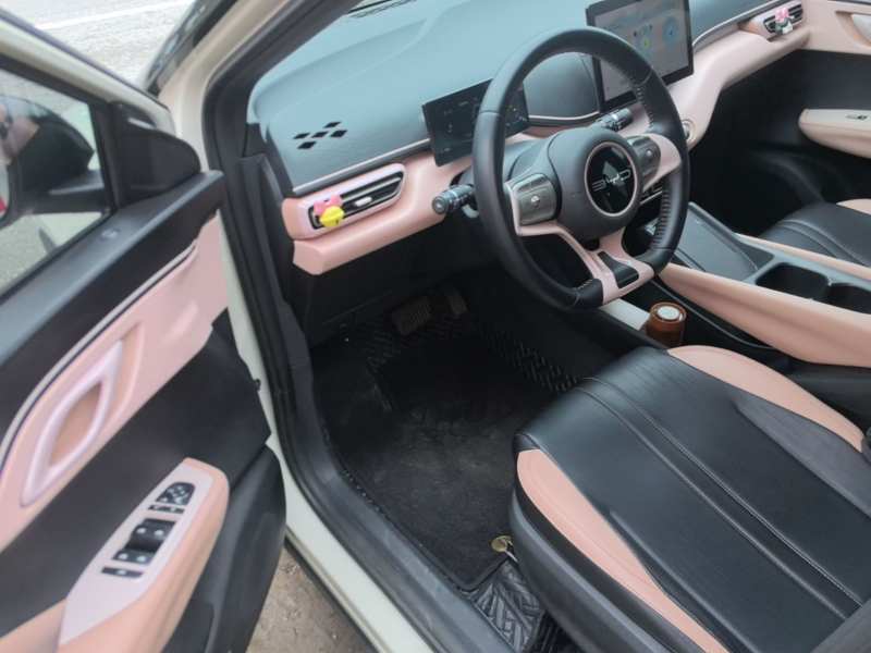 Used BYD Seagull 2023 Free Edition — 15