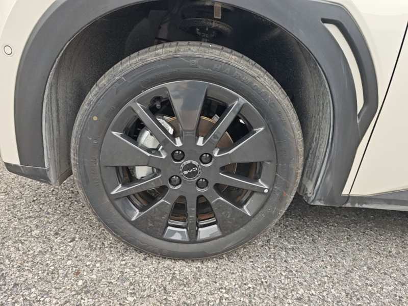 Used BYD Seagull 2026 Model, 305 km Freedom Edition — 22