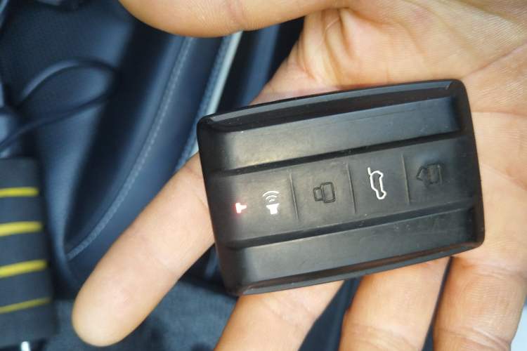 Used Tank 300 2022 2.0T Border Limited Edition