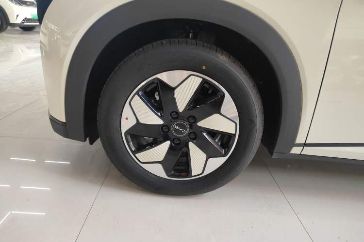 Used BYD Dolphin 2025 420km Free Edition