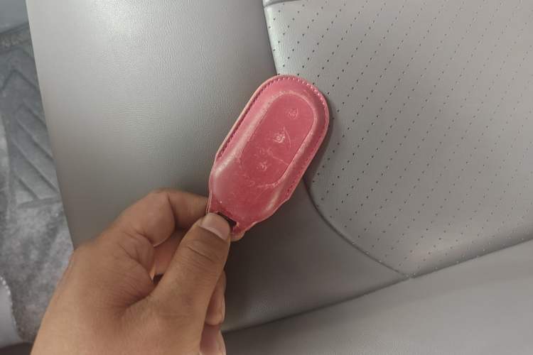 Used Leapmotor C11 2023 Pure Electric 500 Smart Edition