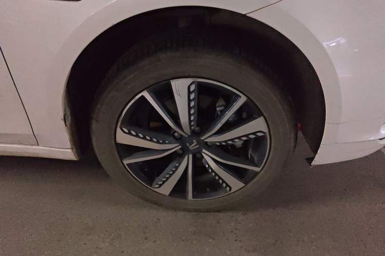 Used Rising ER6 2021 New Dynamic Edition 520km Smart Leading Version