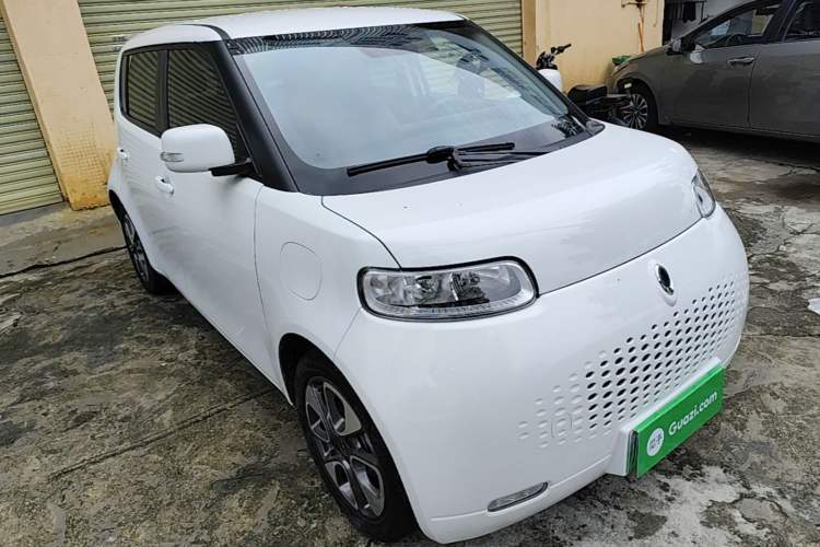 Used ORA White Cat 2020 305 km Luxury Version
