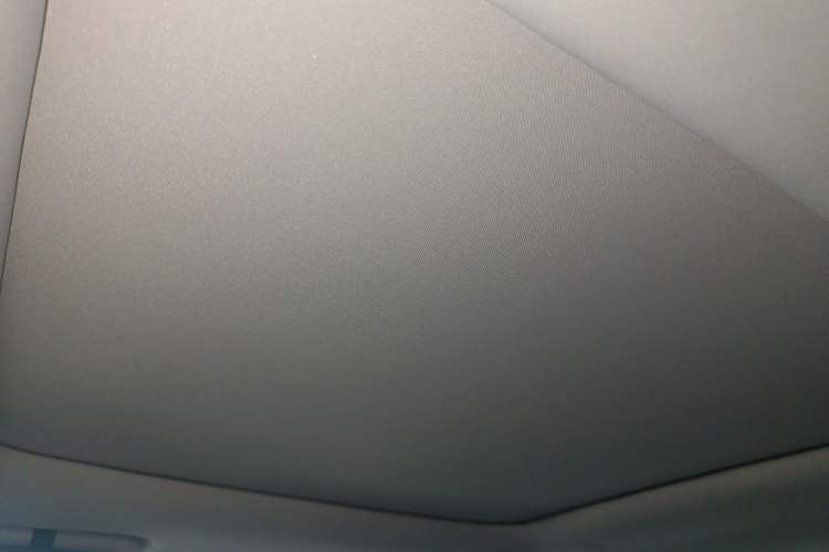 Used Leapmotor T03 2022 Star Diamond Edition Headliner