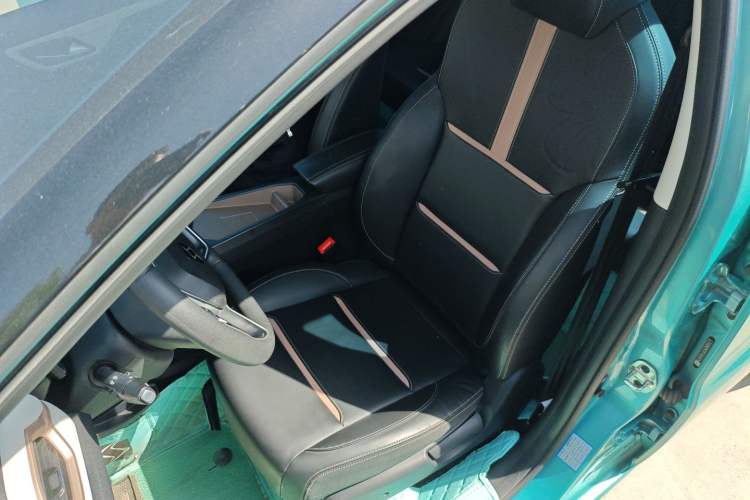 Used SOL E10X 2022 Flower Fairy Design Four-Leaf Clover
