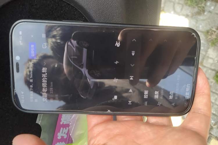 Used Tesla Model Y 2024 Rear-Wheel-Drive Version
