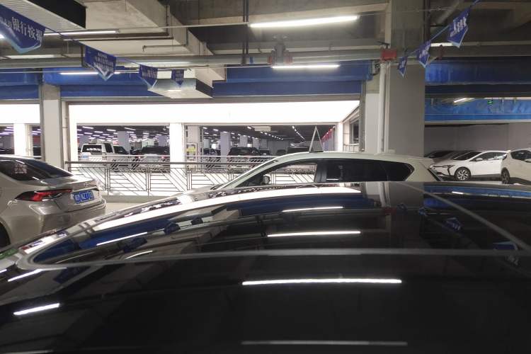 Used Volkswagen Magotan 2019 330TSI DSG Luxury Version China VI Standard Roof