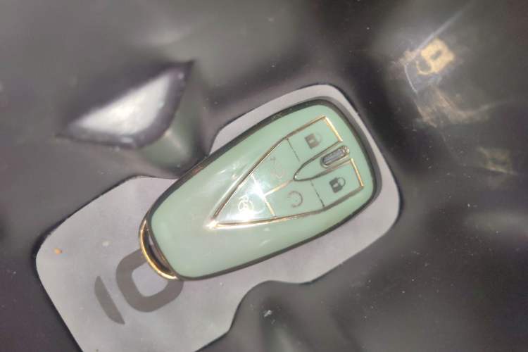 Used Qiyuan A05 2025 Truly Delicious Version 145 Excellence Edition
