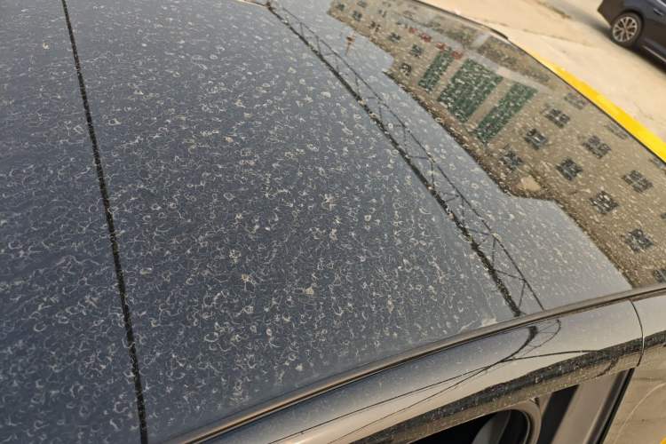 Used Chery QQ Little Ant 2021 200 000-Yuan Ant Fan Edition Oxygen Version Lithium Iron Phosphate 301 km Roof