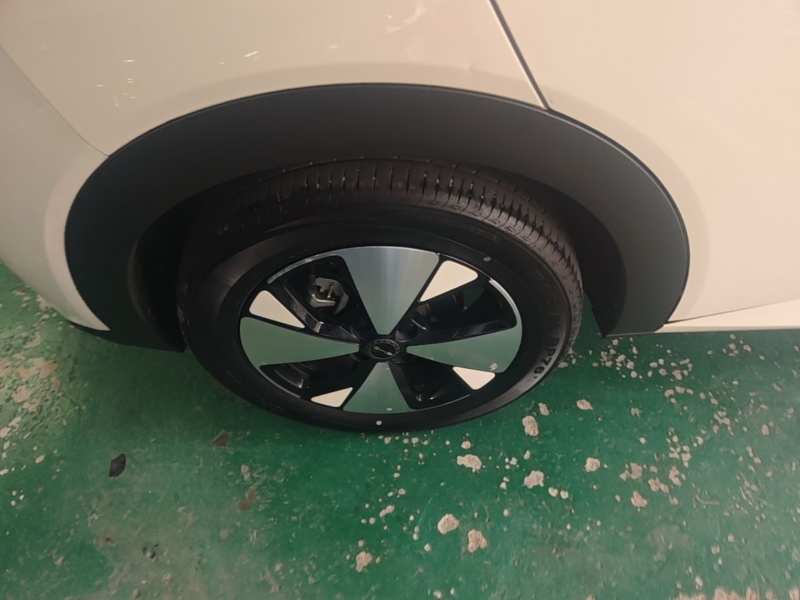 Used BYD Dolphin 2023 420 km Fashion Edition — 25