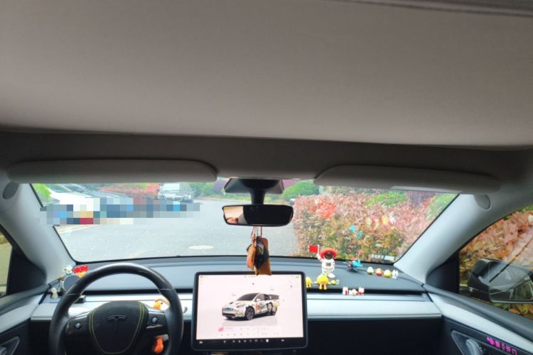 Used Tesla Model Y 2023 Rear-Wheel-Drive Version Headliner