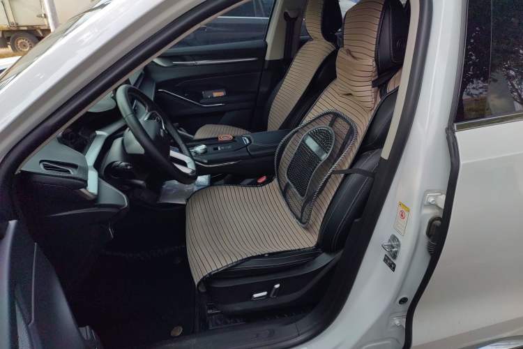 Used Haval H6 New Energy 2023 DHT-PHEV 110KM Long-Range Edition Left Front Seat