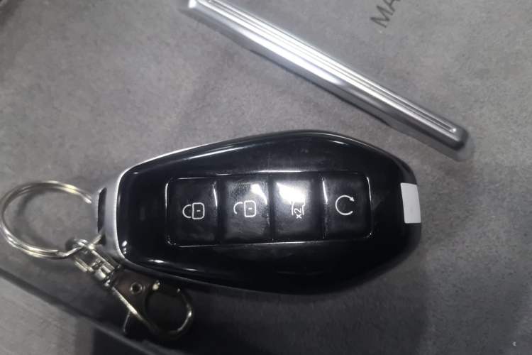 Used Denza N9 2025 Prestige Version