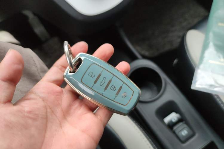 Used ORA White Cat 2020 305 km Luxury Version
