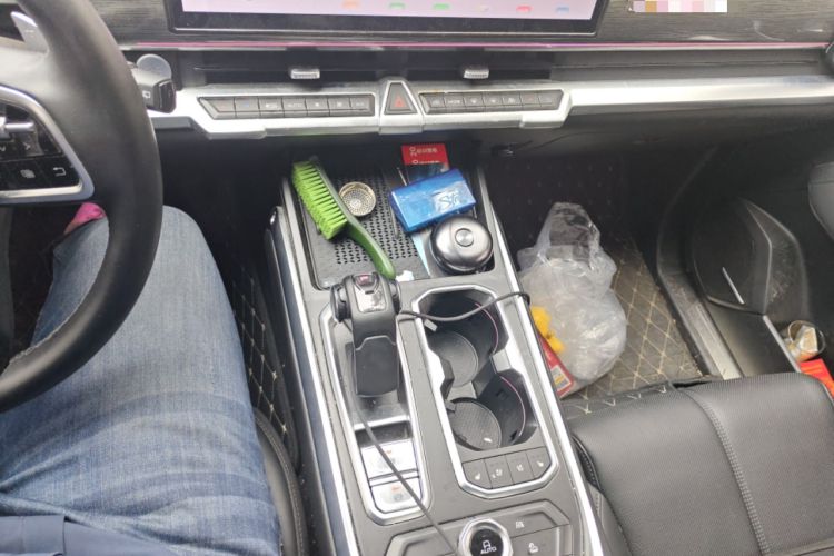 Used Tank 400 New Energy 2023 Hi4-T Super Edition Gear Lever