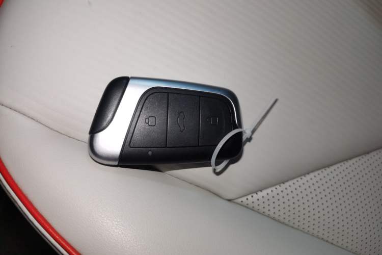 Used Chery Little Ant 2024 321km Love Edition