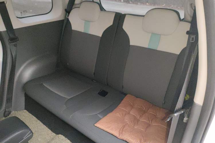 Used CHANGAN NEVO Lumin 2024 130km Qingyue Version Left Rear Seat