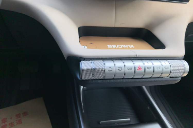 Used BYD Dolphin 2023 420 km Fashion Edition Gear Lever