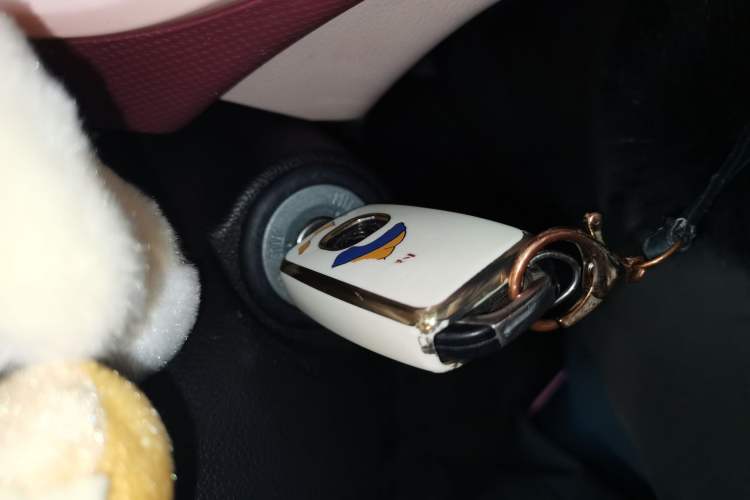 Used CHANGAN OSHAN Benni E-Star 2021 National Edition Colorful Version Lithium Iron Phosphate (31.95 kWh)
