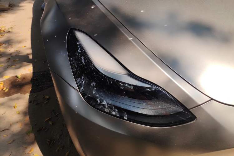 Used Tesla Model Y 2024 Rear-Wheel-Drive Version
