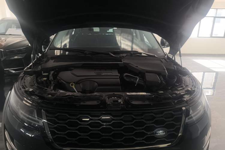 Used Land Rover Range Evoque 2023 Aurora L 200PS Elite Edition