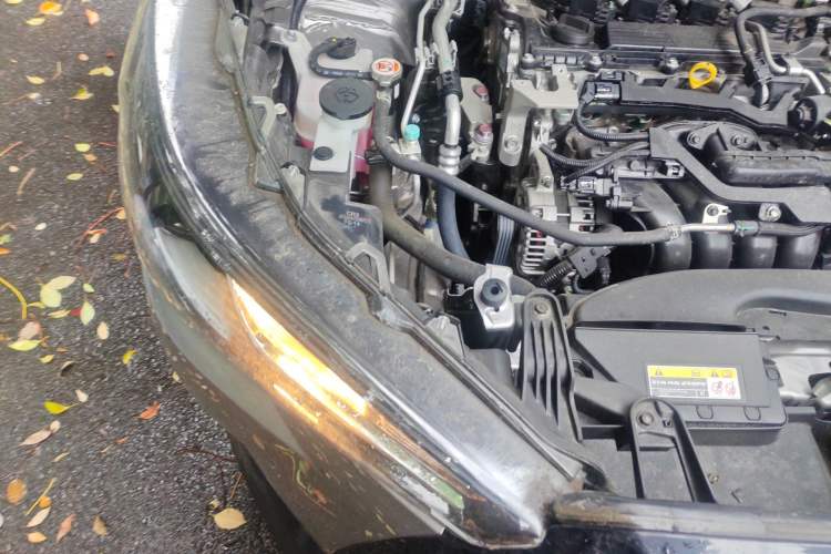 Used Toyota Corolla Cross 2024 2.0L Elite Edition Right Front Headlight